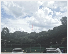  2025Ÿ63595   籸 ڵ 103      (Ӿ)