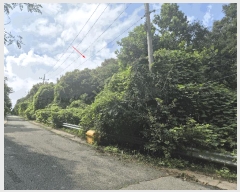  2025Ÿ63595   籸 ڵ 103      (Ӿ)