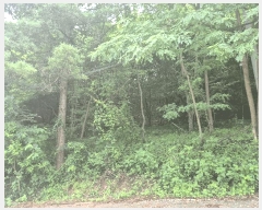  2025Ÿ63595   籸 ڵ 103      (Ӿ)