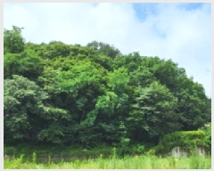  2025Ÿ63595   籸 ڵ 103      (Ӿ)