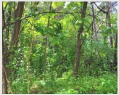  2025Ÿ63595   籸 ڵ 103      (Ӿ)