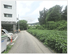  2025Ÿ��63879  �ټ���(����)���