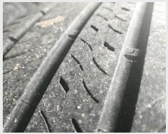  2025Ÿ63924  ֽ  ɾȸ 239      