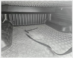  2025Ÿ63924  ֽ  ɾȸ 239      