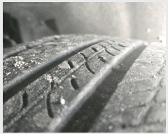  2025Ÿ63924  ֽ  ɾȸ 239      