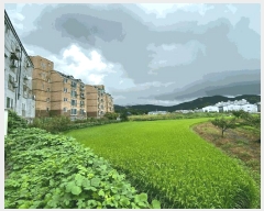  2025Ÿ��63989 ��� ����� ���籸 ������ 234-3      ����(��)���