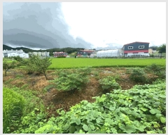  2025Ÿ��63989 ��� ����� ���籸 ������ 234-3      ����(��)���