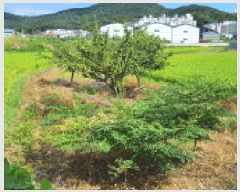  2025Ÿ��63989 ��� ����� ���籸 ������ 234-3      ����(��)���