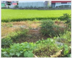  2025Ÿ��63989 ��� ����� ���籸 ������ 234-3      ����(��)���