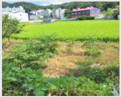  2025Ÿ��63989 ��� ����� ���籸 ������ 234-3      ����(��)���