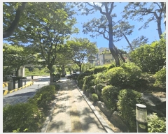  2025Ÿ��64080 ��� ���ֽ� �ߴ絿 981 �Ѻ�����1�����Ѷ��ߵ�Ʈ����ũ 108�� 19��1903ȣ    ����Ʈ���