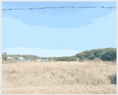  2025Ÿ��64489  ����