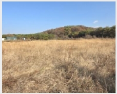  2025Ÿ��64489  ����