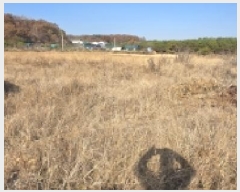  2025Ÿ��64489  ����