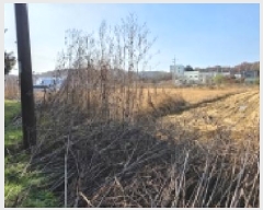  2025Ÿ��64489  ����