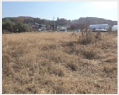  2025Ÿ��64489  ����