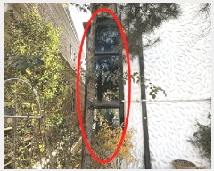  2025Ÿ��64888 ��� ����� �ϻ굿�� ���ε� 933      ���ð��