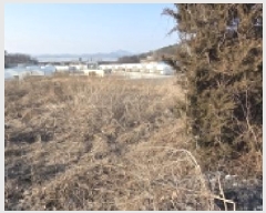  2025Ÿ��65209 ��� ���ֽ� ź���� �뵿�� 74-2      ����(�Ӿ�)���