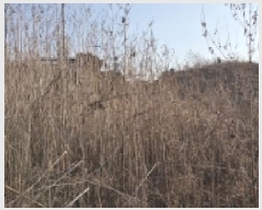  2025Ÿ��65209 ��� ���ֽ� ź���� �뵿�� 74-2      ����(�Ӿ�)���