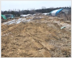  2025Ÿ��1012 ��� ����� �ϻ꼭�� ��ȭ�� 51-1      ����(��)���