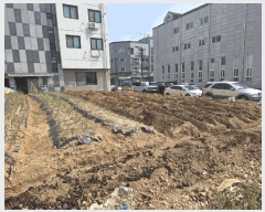  2025Ÿ��1678 ��� ����� ���籸 ������ 1061-7      ����(����)���