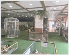  2025Ÿ��3063  �ٸ��󰡰��