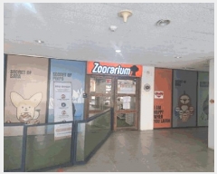  2025Ÿ��3063  �ٸ��󰡰��