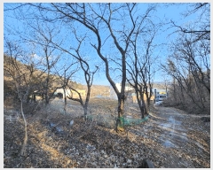  2025Ÿ��62289 ��� ���ֽ� ��ź�� �Ż긮 233      ����(��)���