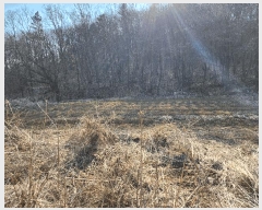  2025Ÿ��62289 ��� ���ֽ� ��ź�� �Ż긮 233      ����(��)���