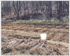  2025Ÿ��62289 ��� ���ֽ� ��ź�� �Ż긮 233      ����(��)���