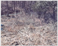  2025Ÿ��62289 ��� ���ֽ� ��ź�� �Ż긮 233      ����(��)���