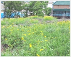  2025Ÿ��63063 ��� ���ֽ� ���ո� ������ 396-10      ����(�Ӿ�)���