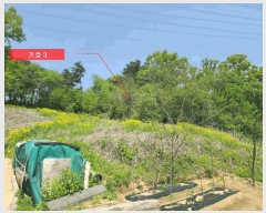  2025Ÿ��63063 ��� ���ֽ� ���ո� ������ 396-10      ����(�Ӿ�)���