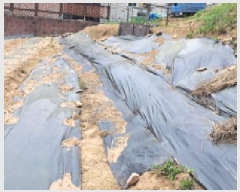  2025Ÿ��63063 ��� ���ֽ� ���ո� ������ 396-10      ����(�Ӿ�)���