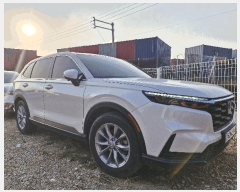  2025Ÿ��63669 ��� ���ֽ� ���Ϸ� 50 206�� 1503ȣ     �������