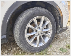  2025Ÿ��63669 ��� ���ֽ� ���Ϸ� 50 206�� 1503ȣ     �������