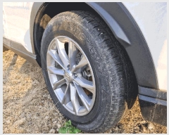  2025Ÿ��63669 ��� ���ֽ� ���Ϸ� 50 206�� 1503ȣ     �������