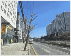  2025Ÿ��590  ����Ʈ���