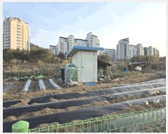  2025Ÿ��1548 ��� ����� ���籸 ���ൿ 322-2      ��õ���