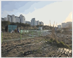  2025Ÿ��1548 ��� ����� ���籸 ���ൿ 322-2      ��õ���