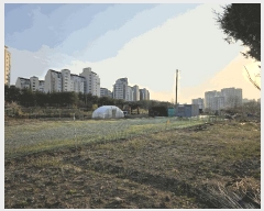  2025Ÿ��1548 ��� ����� ���籸 ���ൿ 322-2      ��õ���