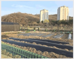  2025Ÿ��1548 ��� ����� ���籸 ���ൿ 322-2      ��õ���