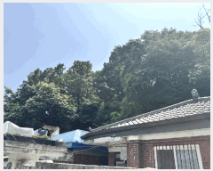  2025Ÿ��2770 ��� ����� ���籸 ���絿 52-13      ����(�Ӿ�)���