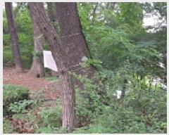  2025Ÿ��2770 ��� ����� ���籸 ���絿 52-13      ����(�Ӿ�)���