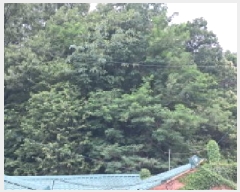  2025Ÿ��2770 ��� ����� ���籸 ���絿 52-13      ����(�Ӿ�)���