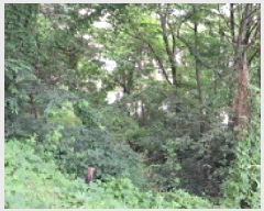  2025Ÿ��2770 ��� ����� ���籸 ���絿 52-13      ����(�Ӿ�)���