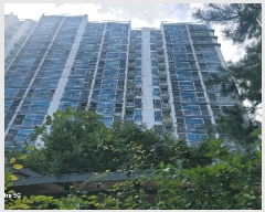  2025Ÿ��4554 ��� ����� ���籸 ���絿 730 Ǫ������5���� 502�� 16��1602ȣ   ����Ʈ���