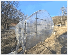  2025Ÿ��62199 ��� ����� ���籸 ���ൿ 406-4      ����(��)���