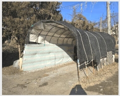  2025Ÿ��62199  ����