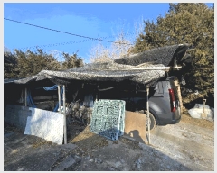  2025Ÿ��62199  ����